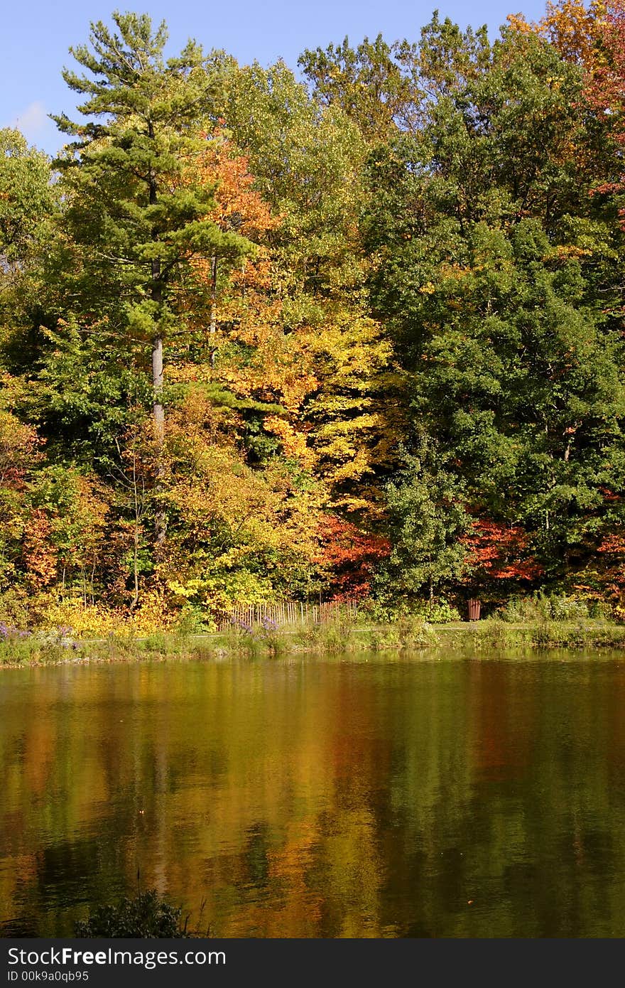 Fall colors with orange and yellow maples and oaks