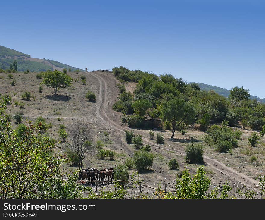 Lonely traveller, horses, mountain, sky, road, way