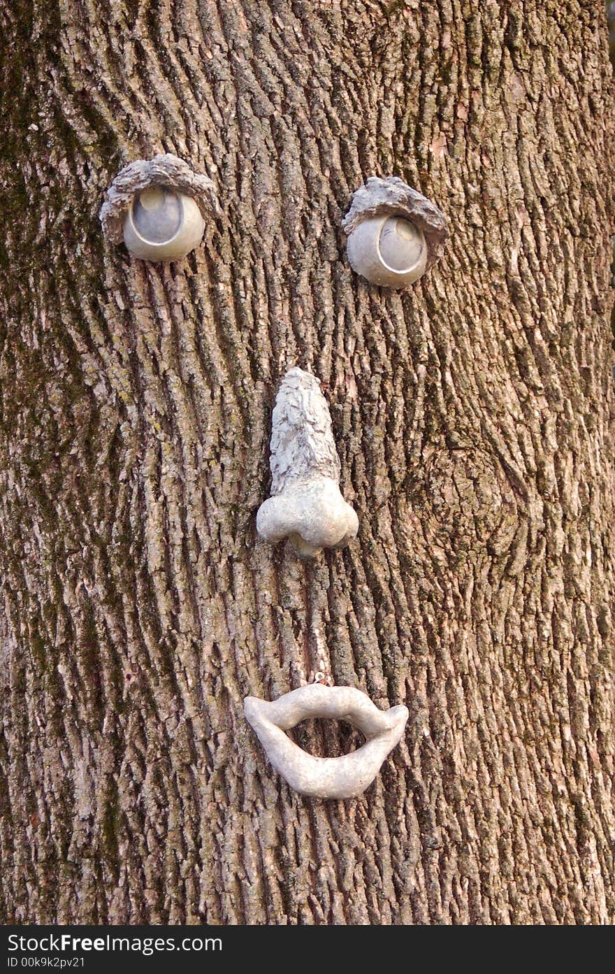 Tree Face