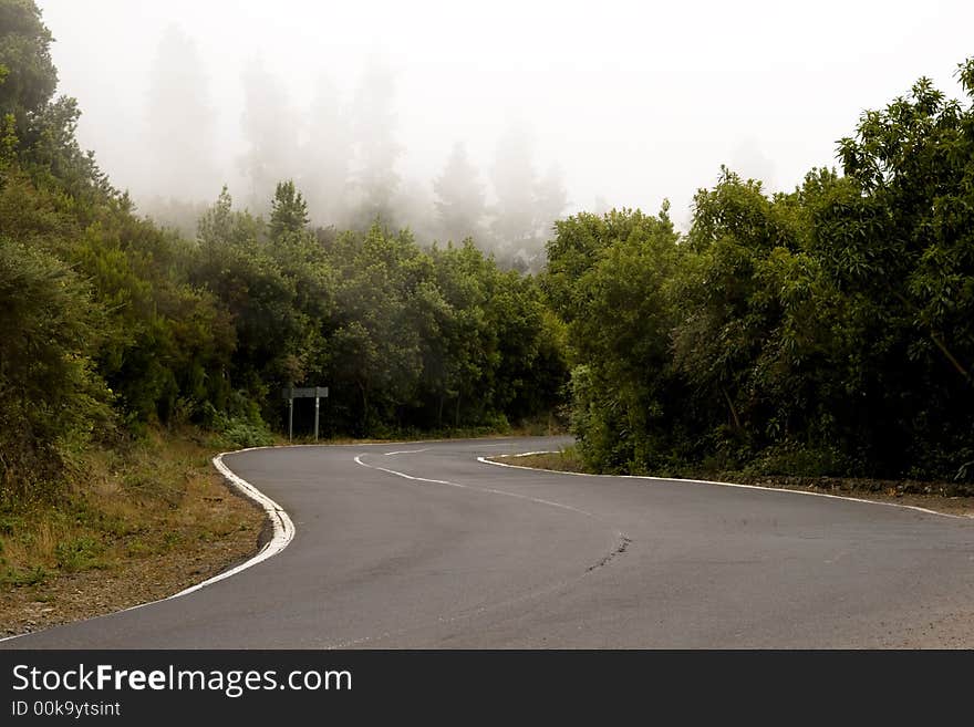 Empty road on a foggy day. Empty road on a foggy day.