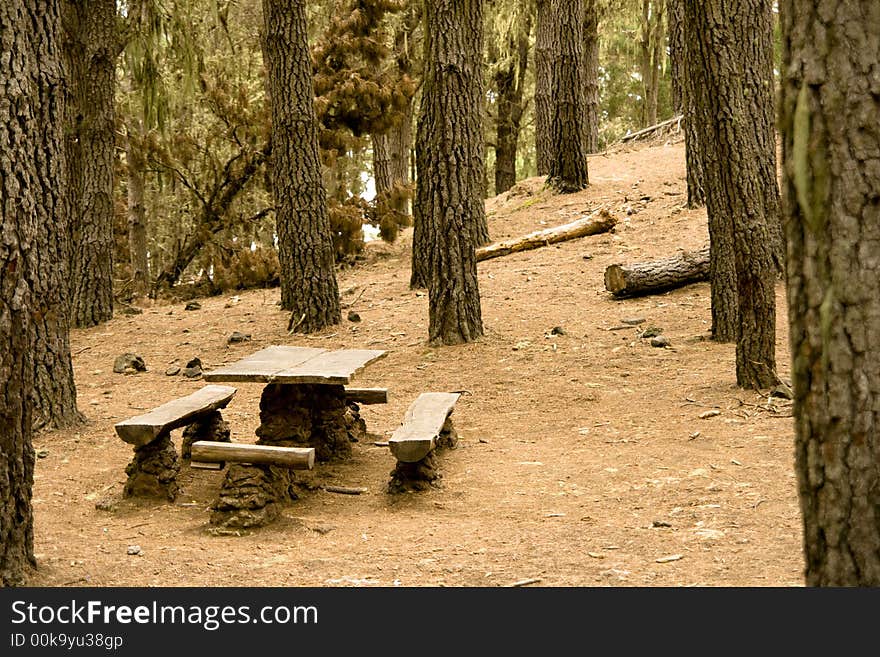 Table and benches in a forest. Table and benches in a forest