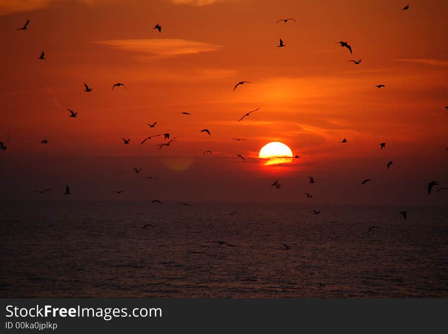 Playing at the sunset