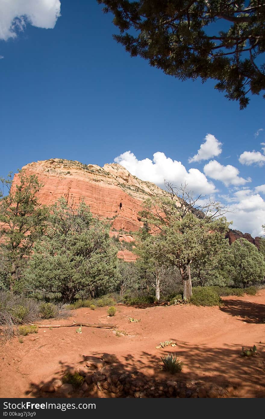 A shaded spot along the path to Devil's Bridge, Sedona.