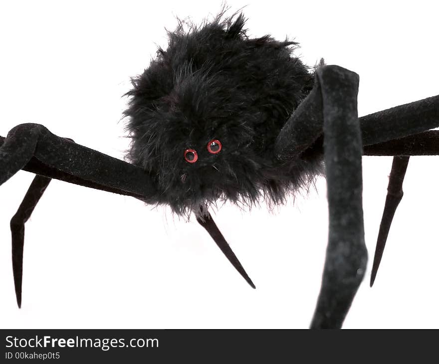 Black Spider Toy