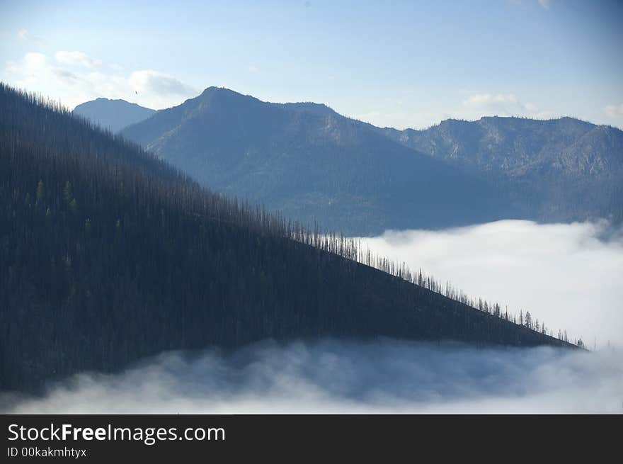 The valley floor is covered with a thick layer of fog. The valley floor is covered with a thick layer of fog.