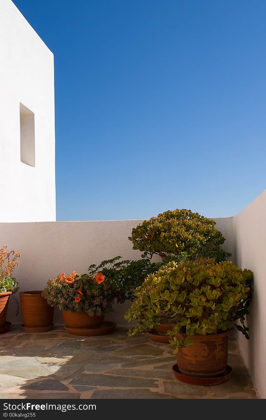 Miscellaneous flower pots standing on a porch. White stucco wall highlighting blue skies is on a background. Miscellaneous flower pots standing on a porch. White stucco wall highlighting blue skies is on a background.