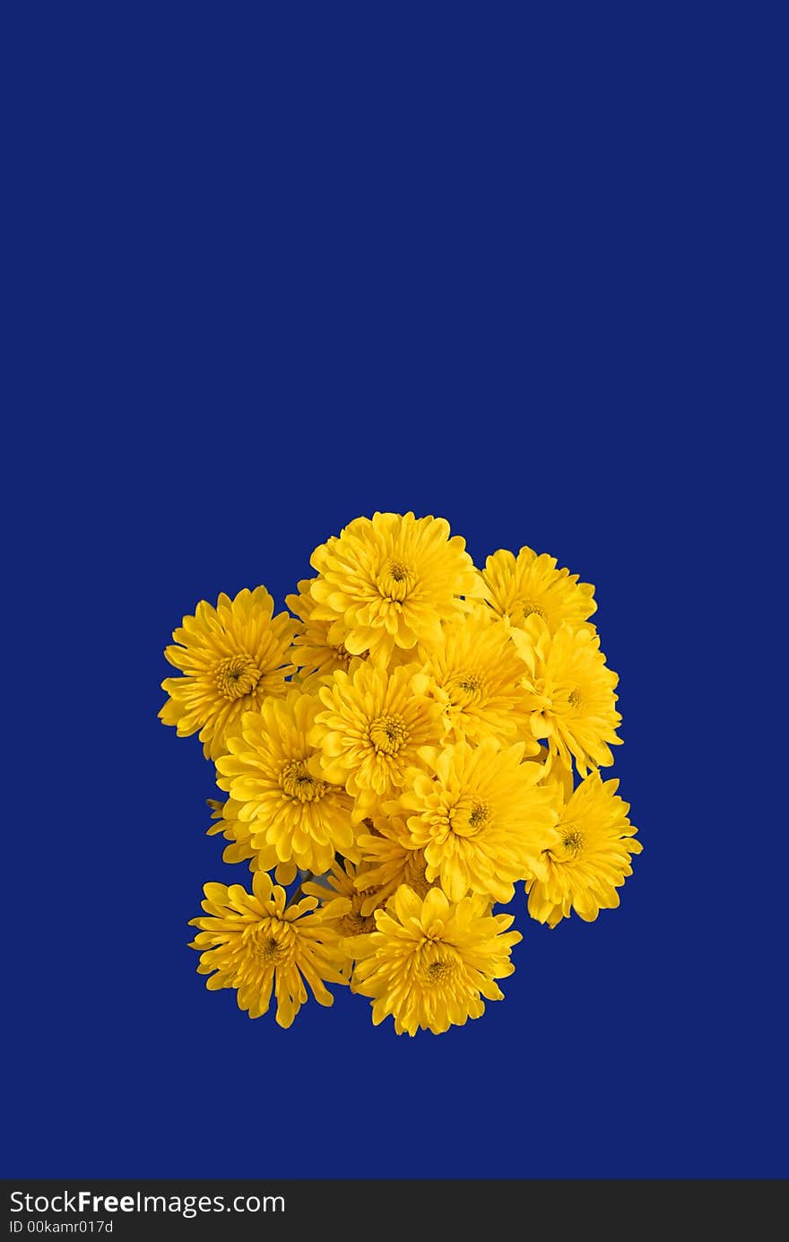 Bouquet of Yellow Flowers