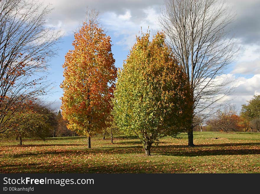 A beautiful fall day with trees turning color and dark clouds