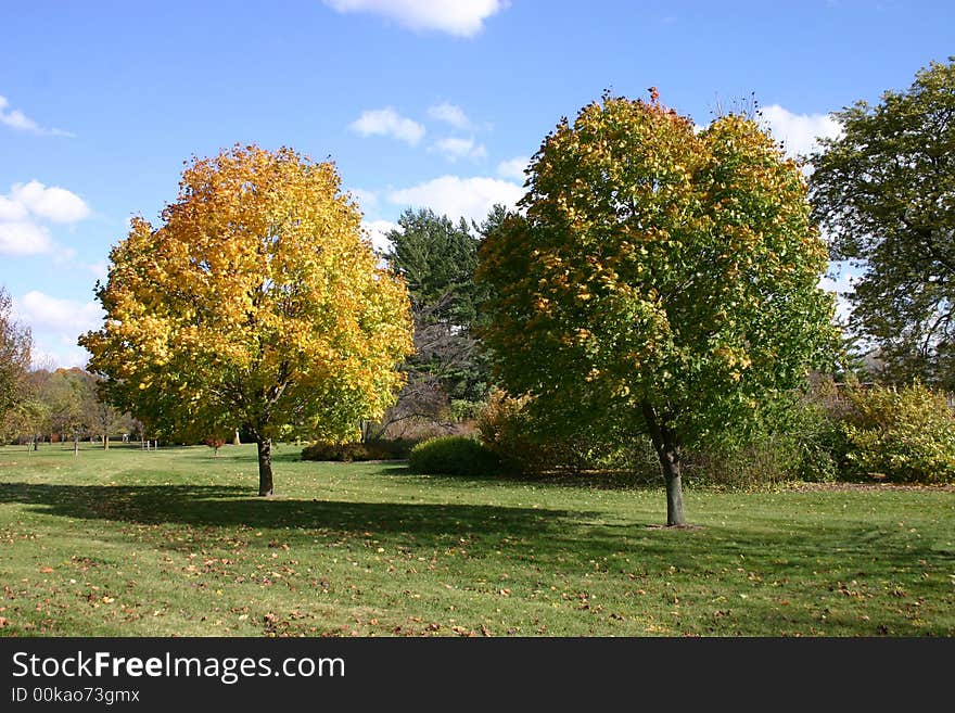 A beautiful fall day with trees turning color and dark clouds