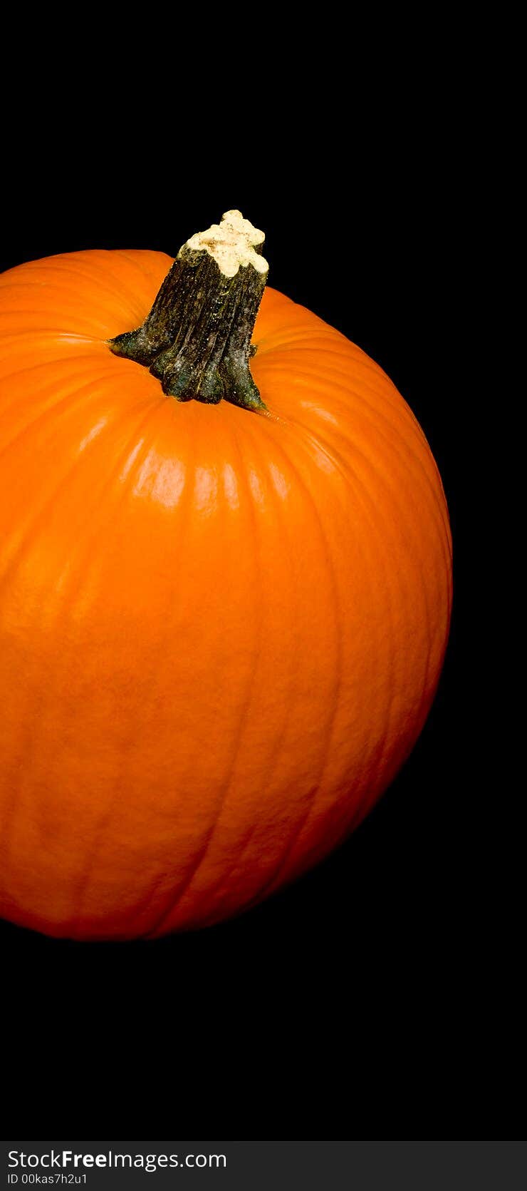 Orange pumpkin with stem on a black background. Orange pumpkin with stem on a black background