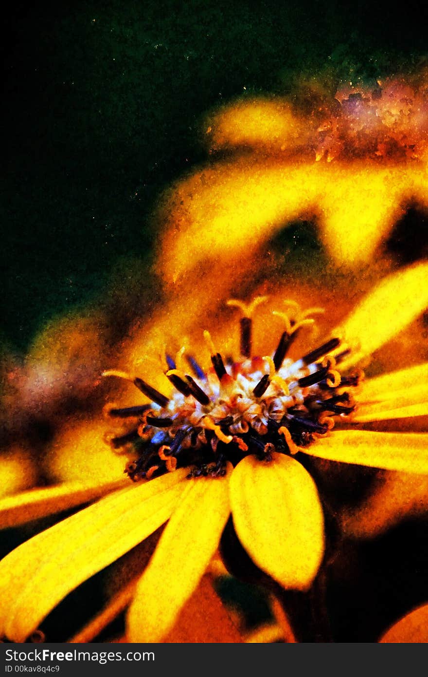 Yellow autumn flower with grungy metal texture. Yellow autumn flower with grungy metal texture