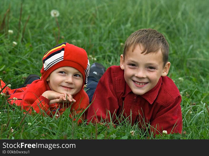 Two brothers roll on a green grass. Two brothers roll on a green grass