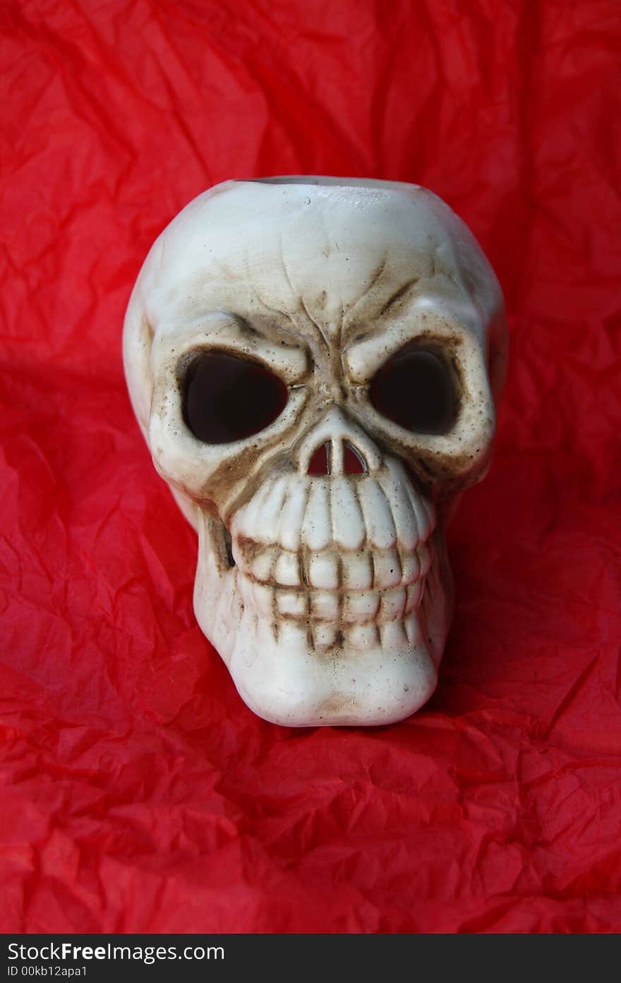 Ceramic skull front face with red backround. Ceramic skull front face with red backround