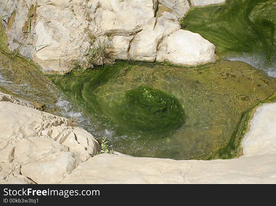 Desert oasis in the dead sea region