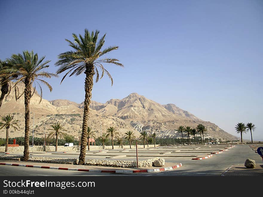 Sea side road desert in the dead sea region