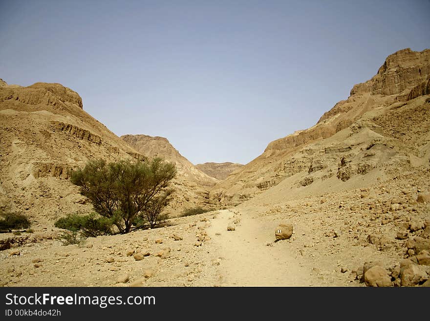 Desert landscape in the dead sea region