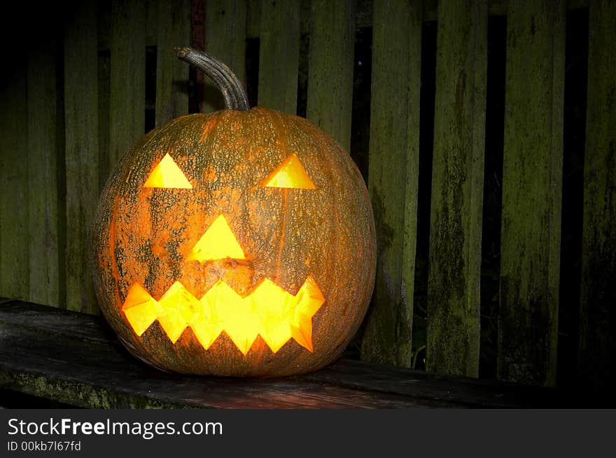 Pumpkin standing at the fence