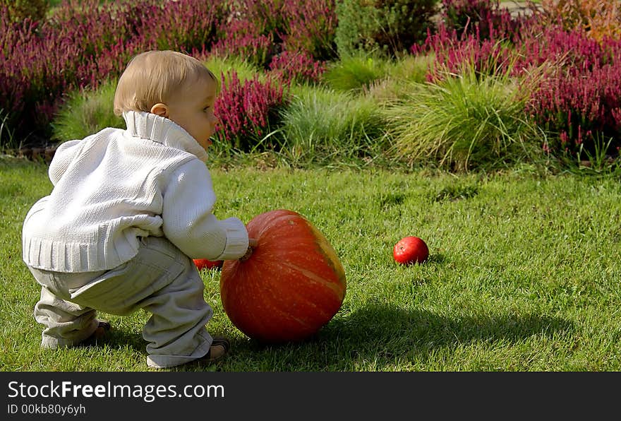 Baby infant with pumpkin on the green grass. Baby infant with pumpkin on the green grass