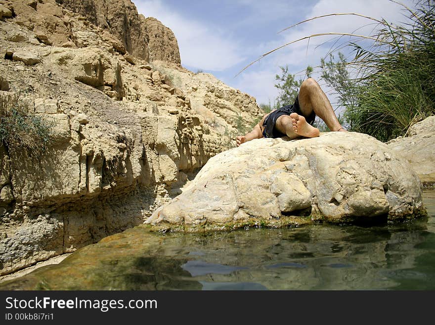 Desert oasis in the dead sea region