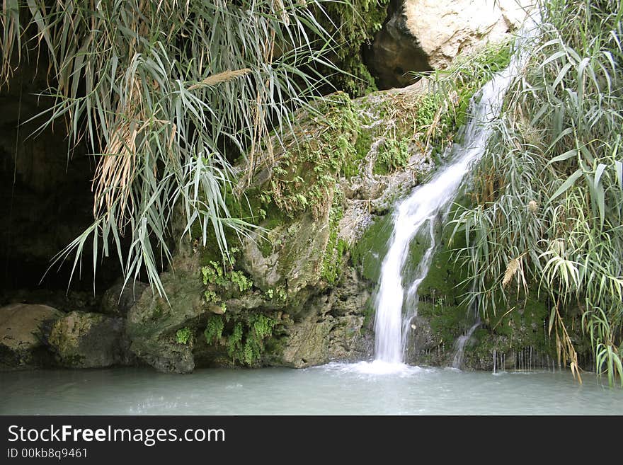 Desert oasis in the dead sea region