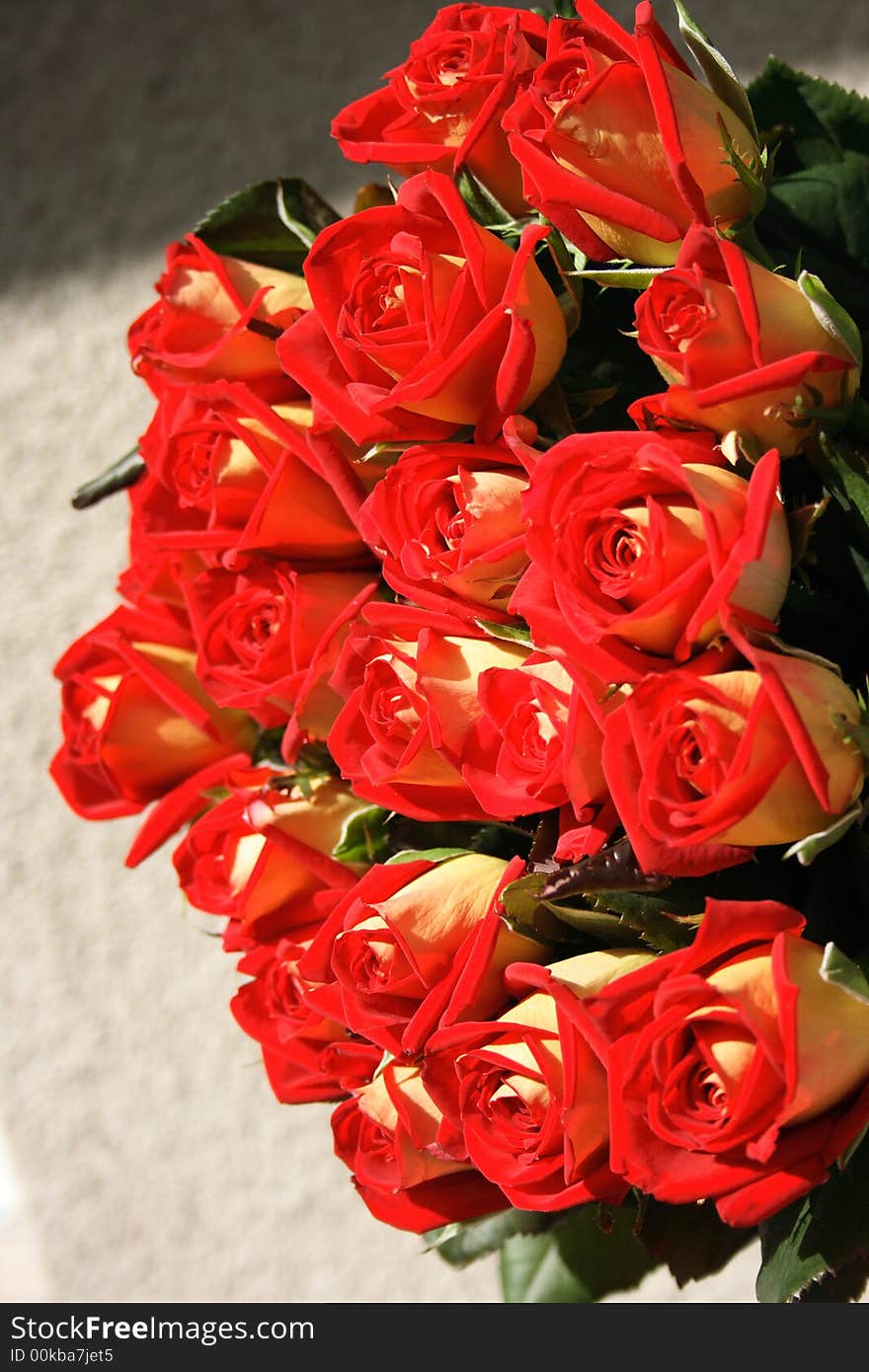 Red Roses