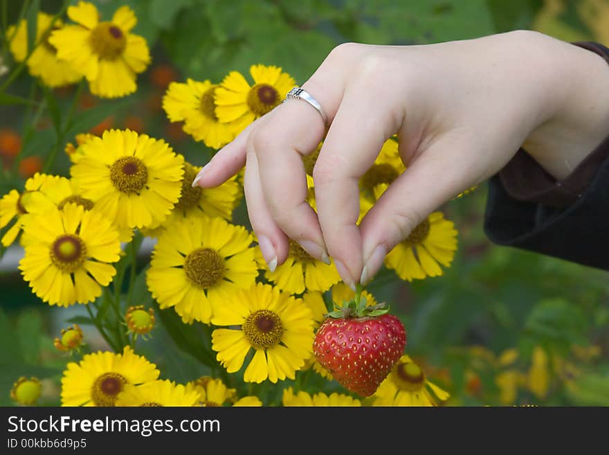 Hand With Single Strawberry