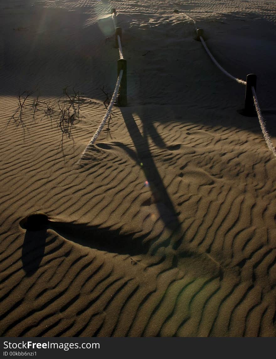 Sand Dune Path