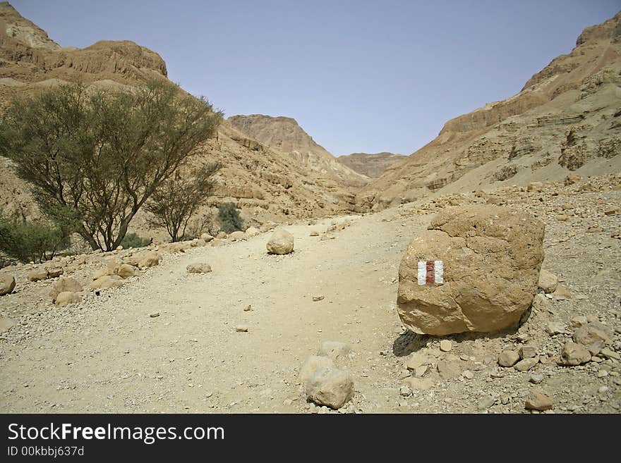 Desert landscape in the dead sea region