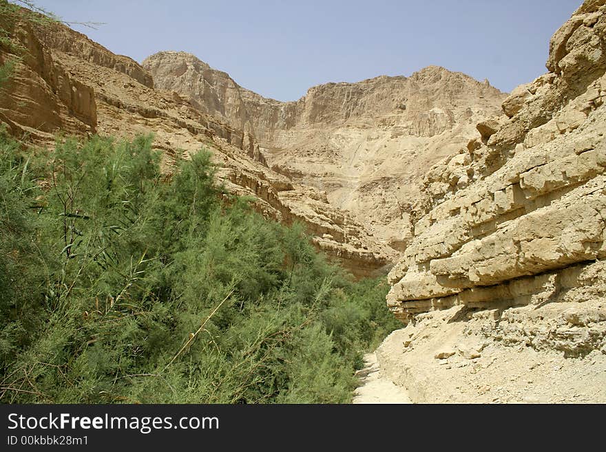 Desert landscape in the dead sea region