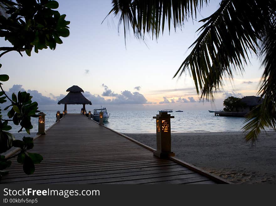 Tropical Sunset. Palm leaves on foreground