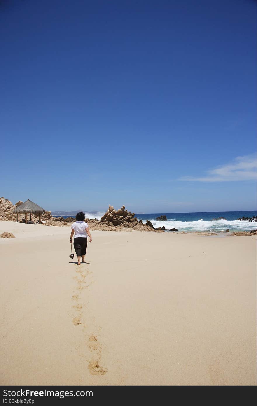 Beach in Los Cabos, Baja California Sur, Mexico