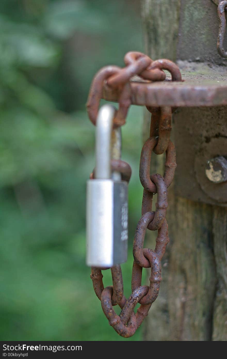 An old rusty chain on a gate with a new lock. An old rusty chain on a gate with a new lock