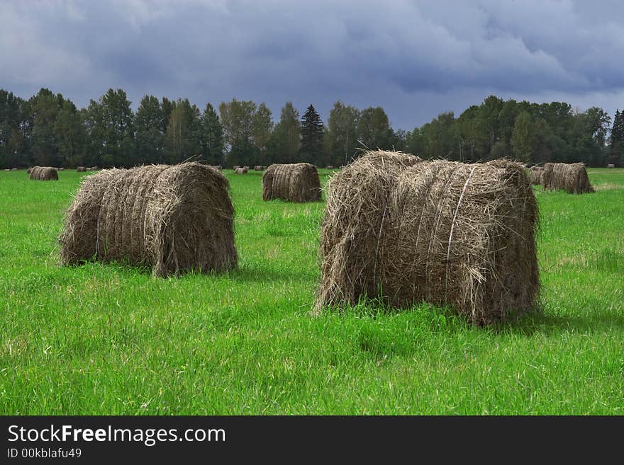 The hay bales on a green grass