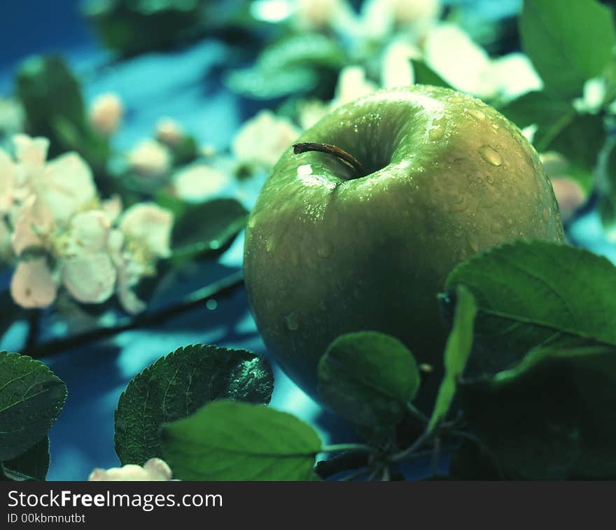 Green apple on a blue background