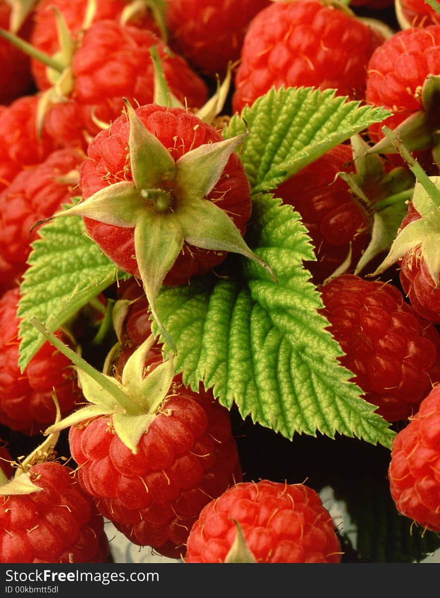 Red raspberry on crimson leaflets