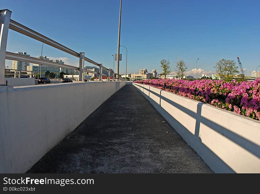 High way, flowers and building