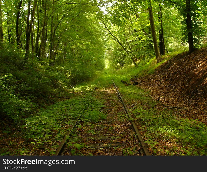 This is a railroad that appears to get little usage next to the Curchville Nature Reserve. This is a railroad that appears to get little usage next to the Curchville Nature Reserve.