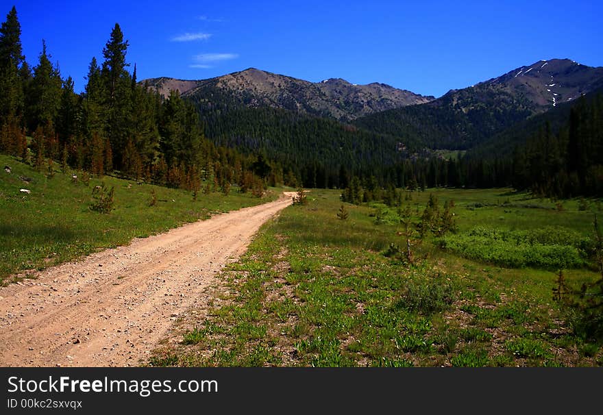 Dirt road disapearing into National forest in Idaho. Dirt road disapearing into National forest in Idaho