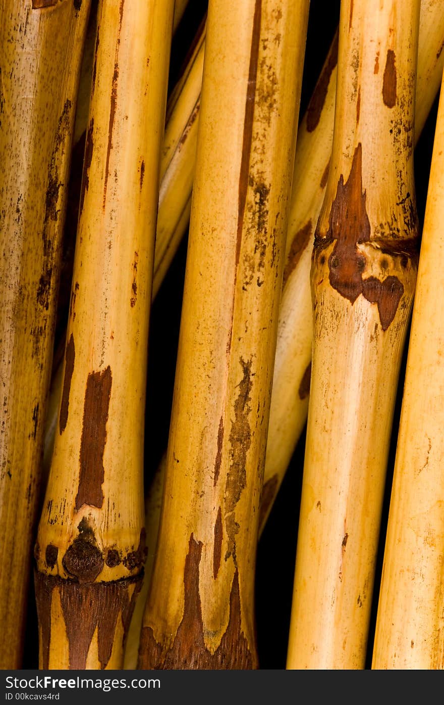 Dried Bamboo Background