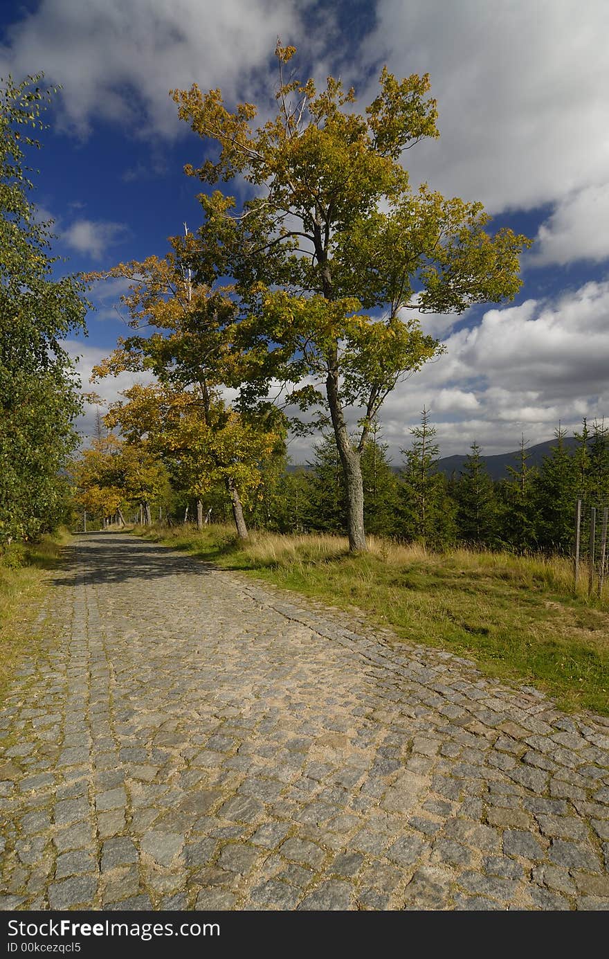 Mountain's path in Karkonosze during fall. Mountain's path in Karkonosze during fall