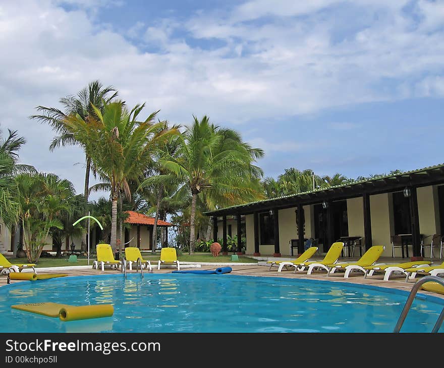 Swimming pool cuba palm tree