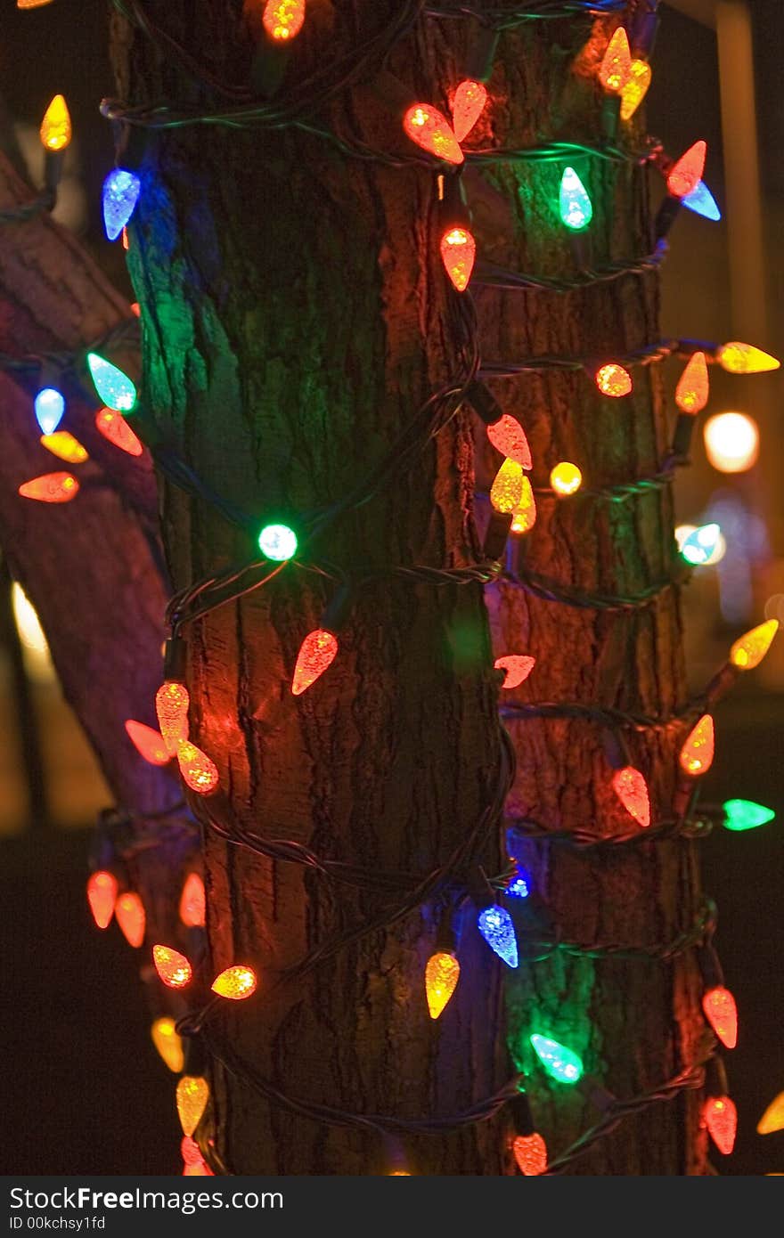 Outdoor x-mas lights on a tree