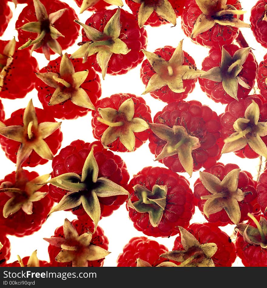 Red raspberry on a white background