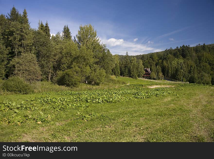 Scenery of Nature with mountains and stream