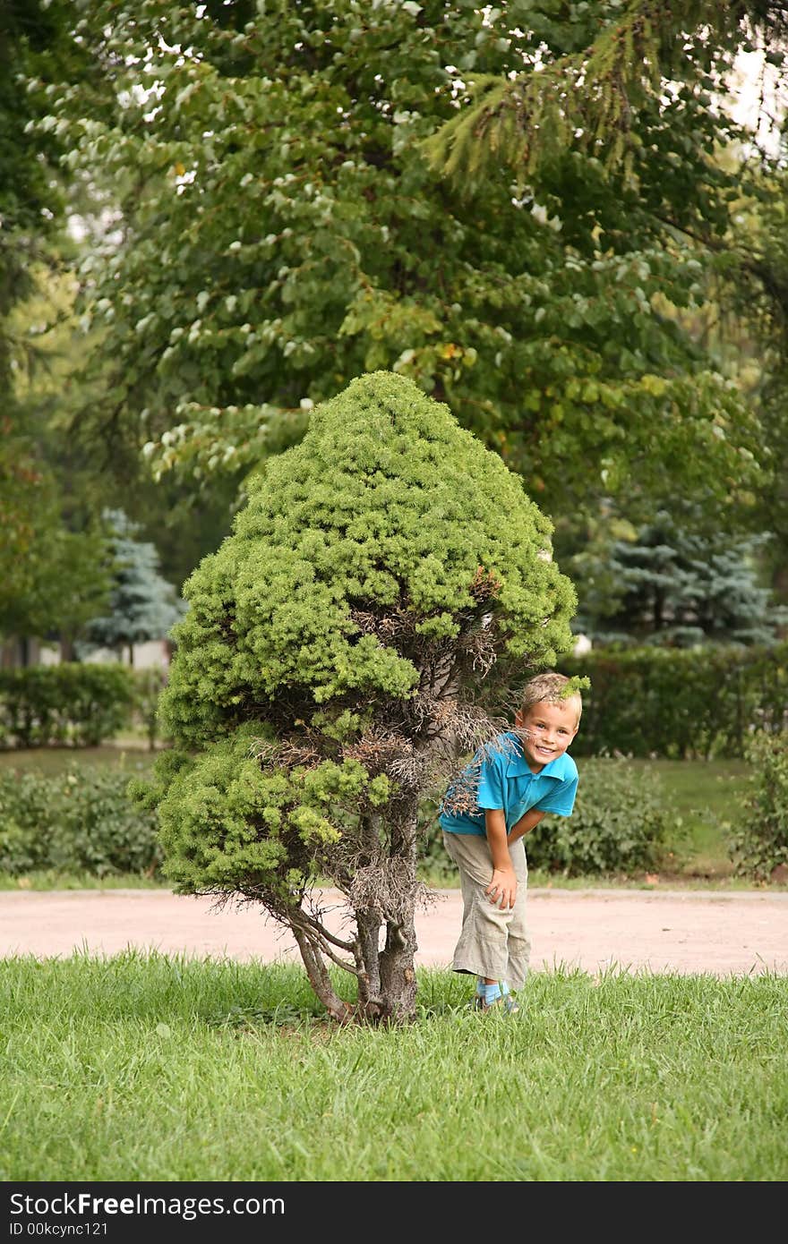 Boy in park near the tree