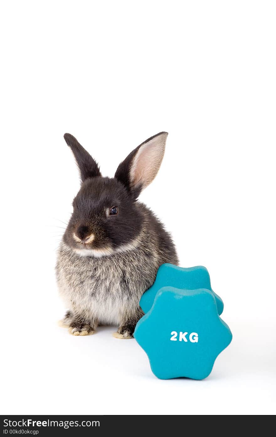 Black bunny and a weight, isolated