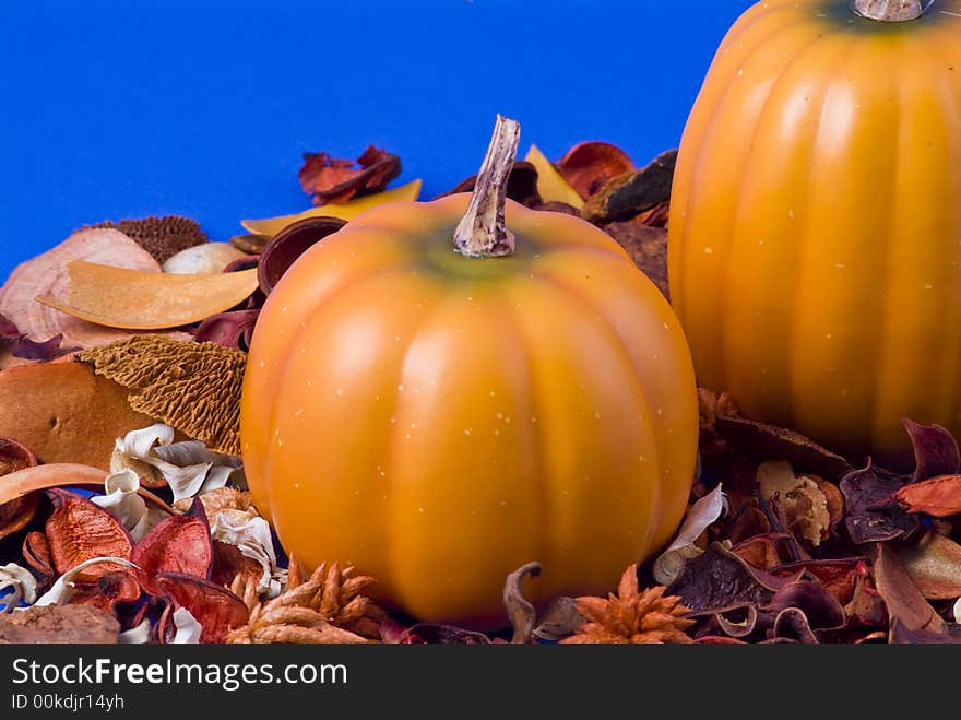 Two pumpinks in a bed of dried leave and flowers taken on a blue background. Two pumpinks in a bed of dried leave and flowers taken on a blue background.