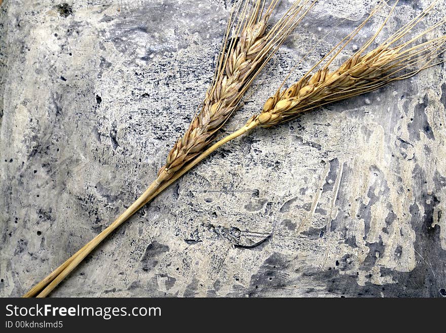 Gray granite headstone and wheat. Gray granite headstone and wheat