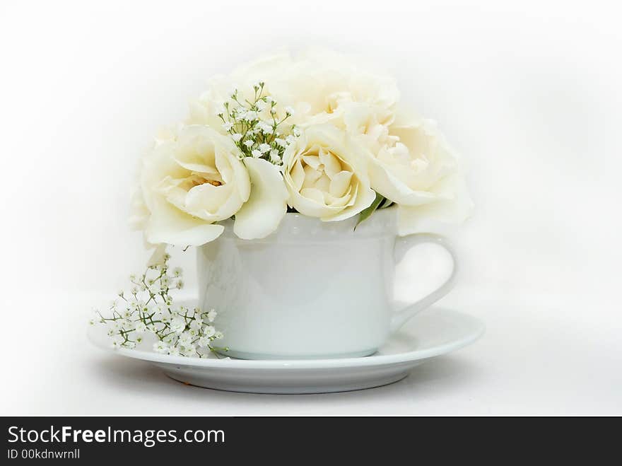 White roses in a tea cup. White roses in a tea cup