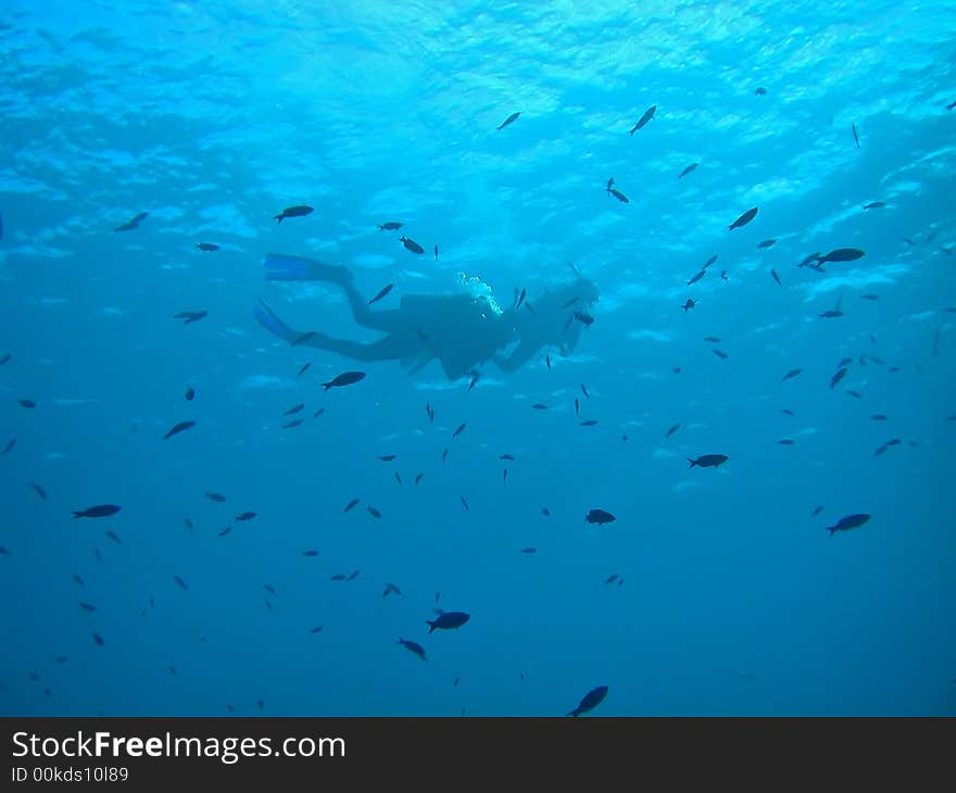 Two divers returning to boat